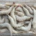青虾食用26~30只/kg