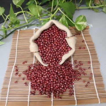 红小豆袋装