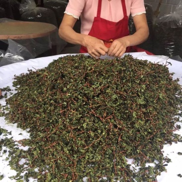 观音茶