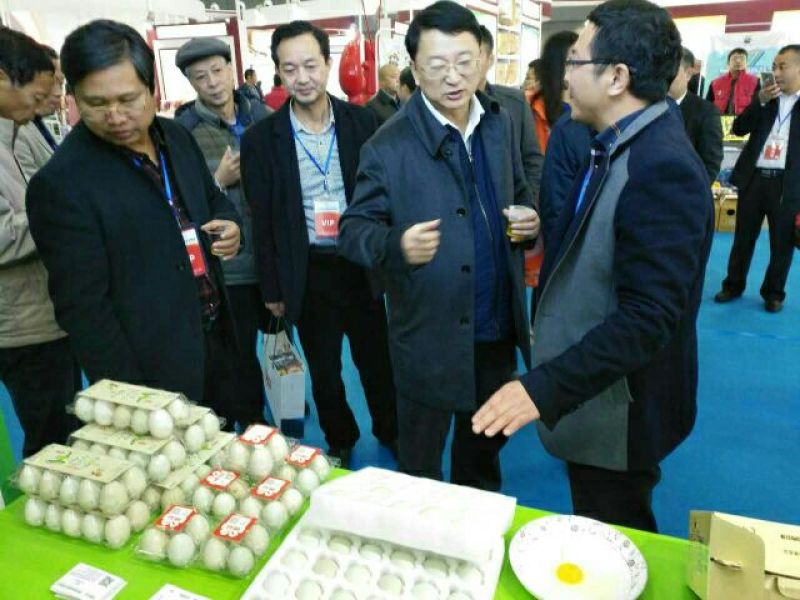 绿壳鸡蛋食用50g以下