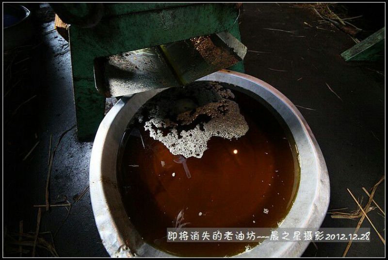 粮油作物