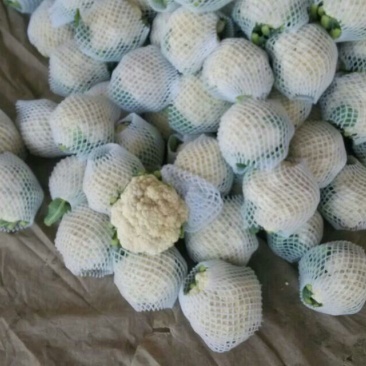 菜花