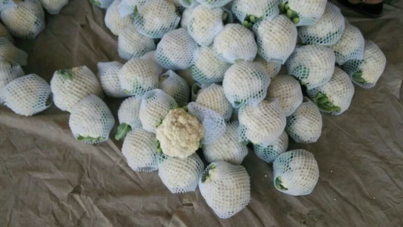 菜花
