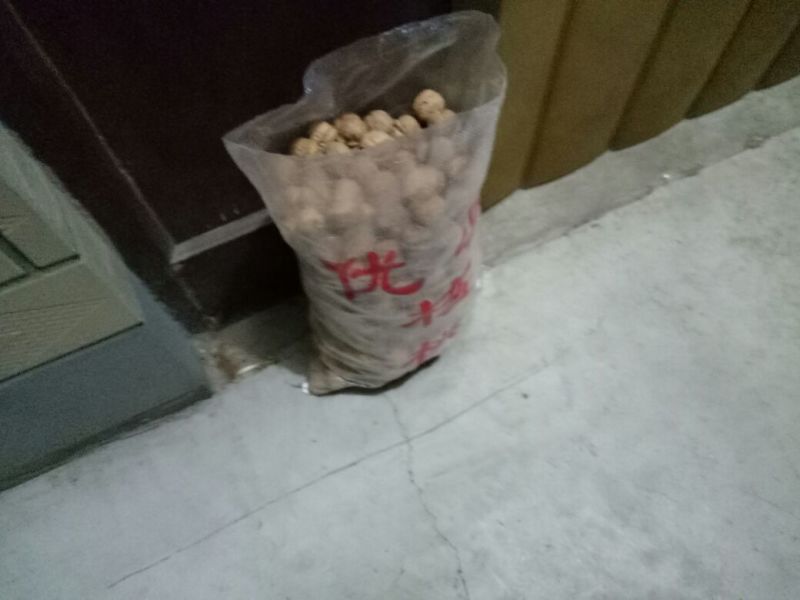 薄皮核桃30mm以上去皮