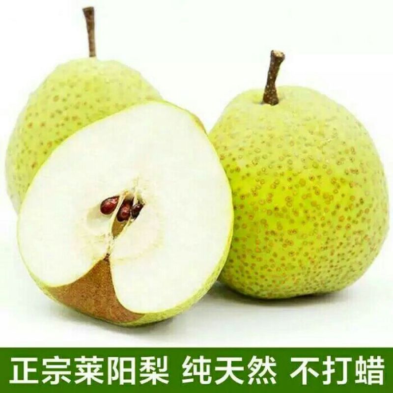 莱阳梨350~400g膜袋
