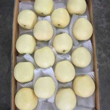 皇冠梨550~600g纸箱