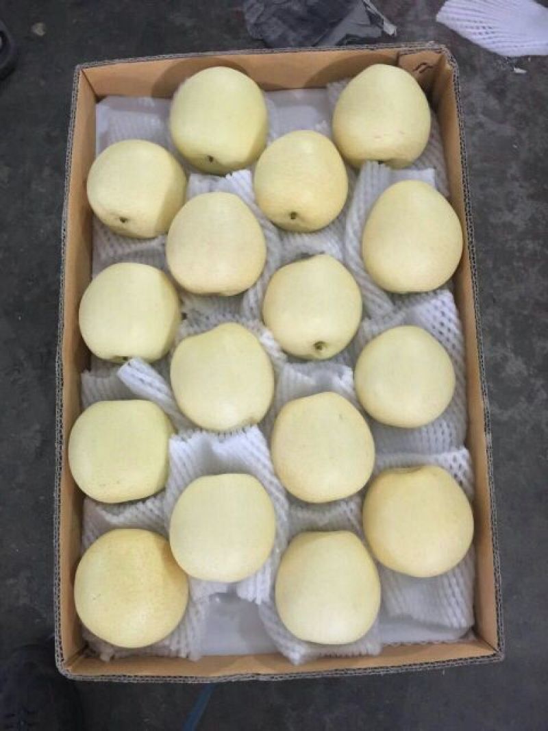 皇冠梨550~600g纸箱