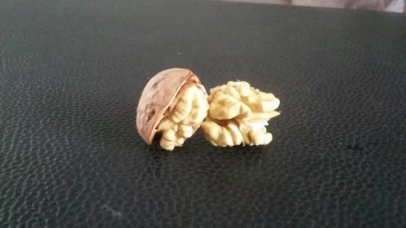 薄皮核桃