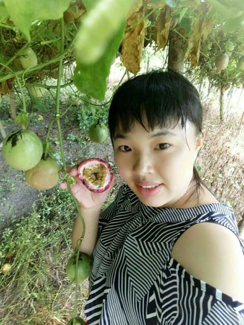百香果80~90g紫果