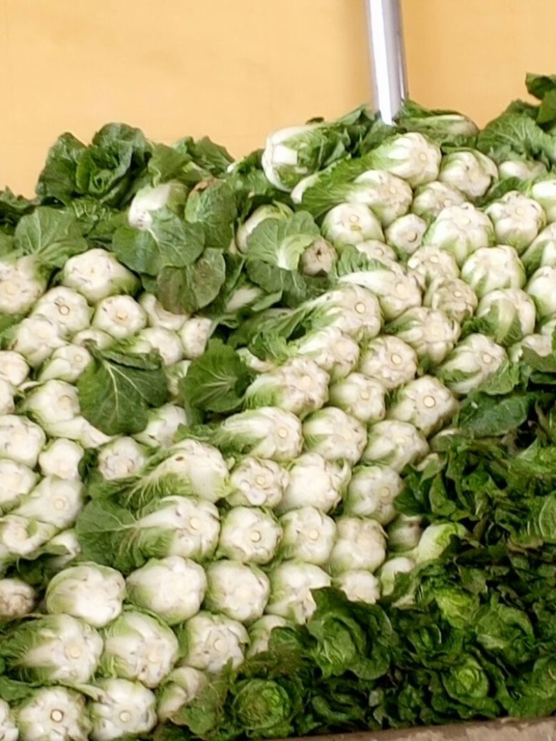 白花菜花1斤紧密乳白