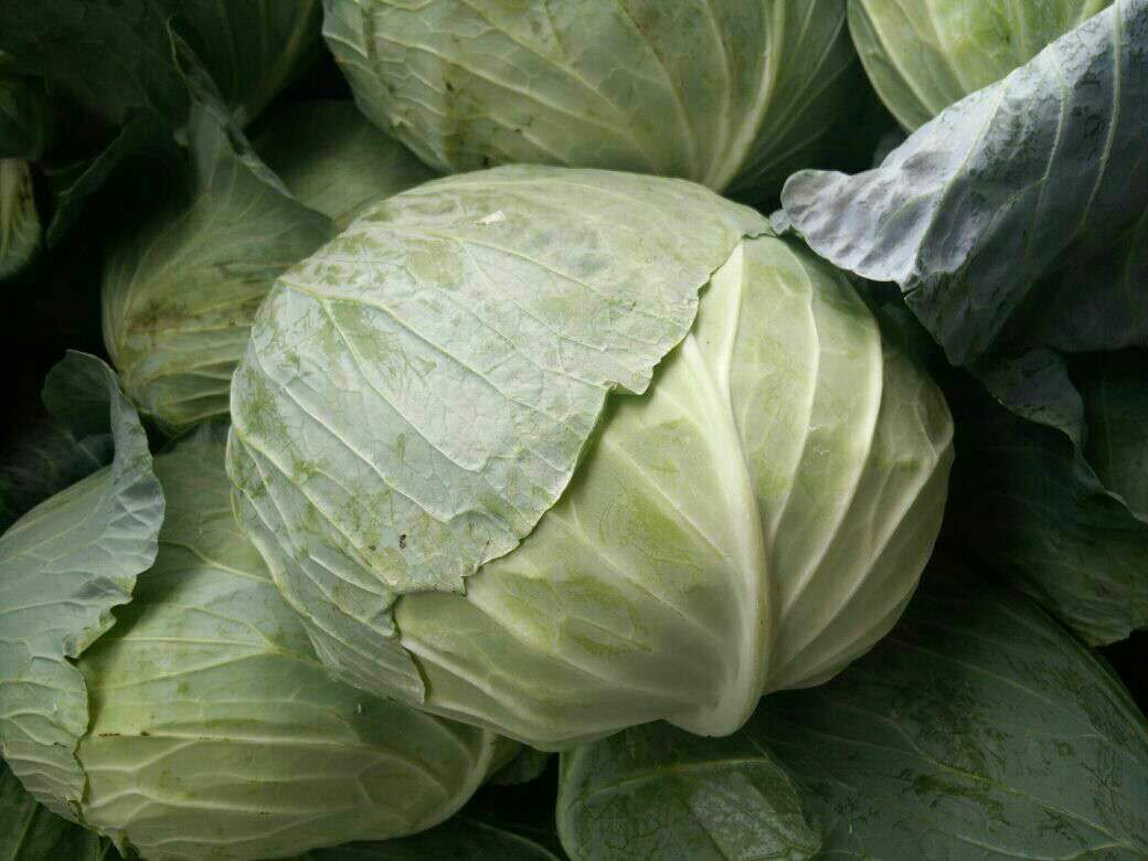 Բ