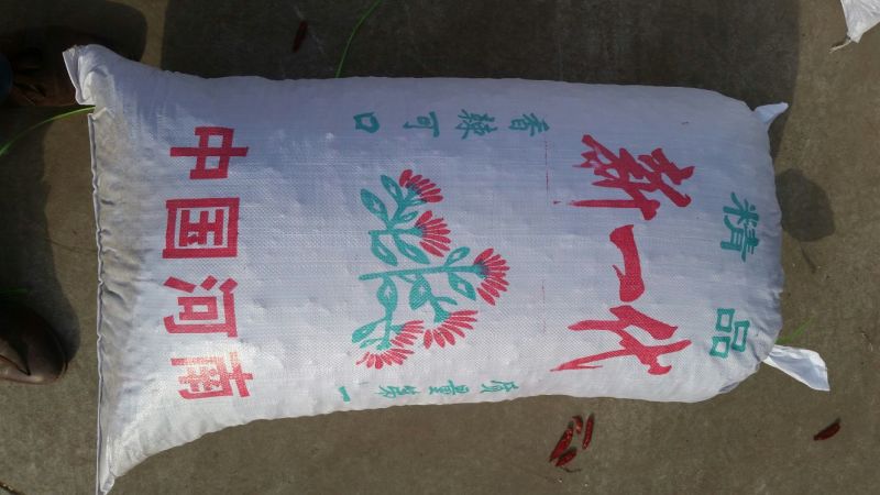干辣椒上通货8.5成干