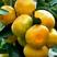 特早蜜橘，达分，四文，国庆，品质好，支持全国发货