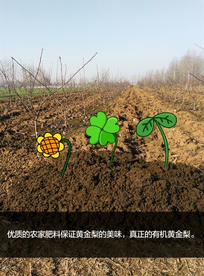 河南南阳市方城县_观赏网 河南南阳市方城县