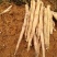 淮山药4~6厘米一级手捡50~70厘米