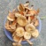 野生菌特级