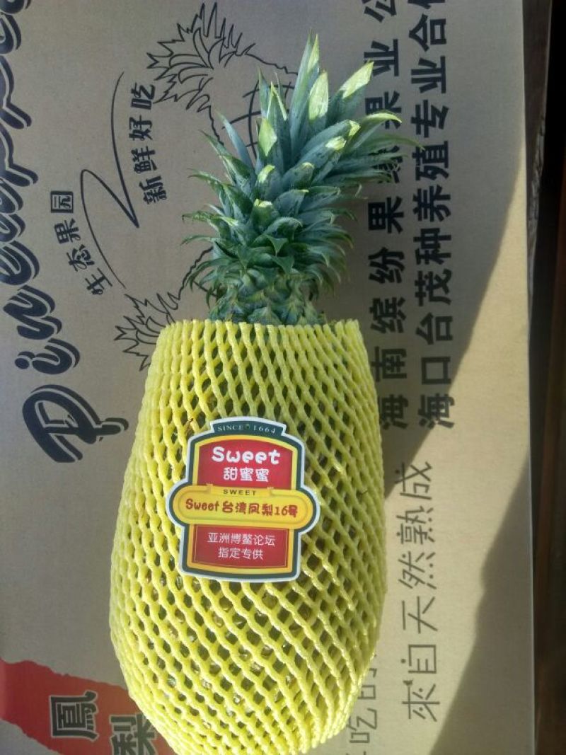 海南风梨金钻十六号凤梨欢迎来电地头装货