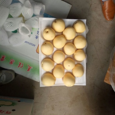 皇冠梨纸袋250~300g