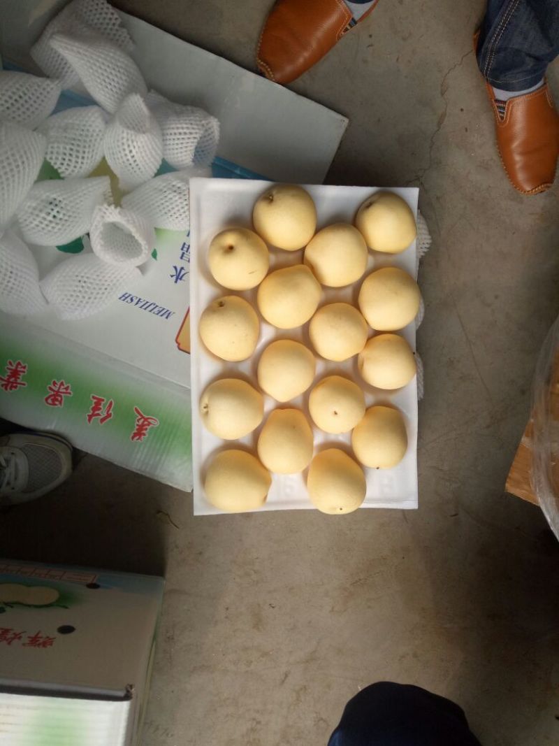 皇冠梨纸袋250~300g