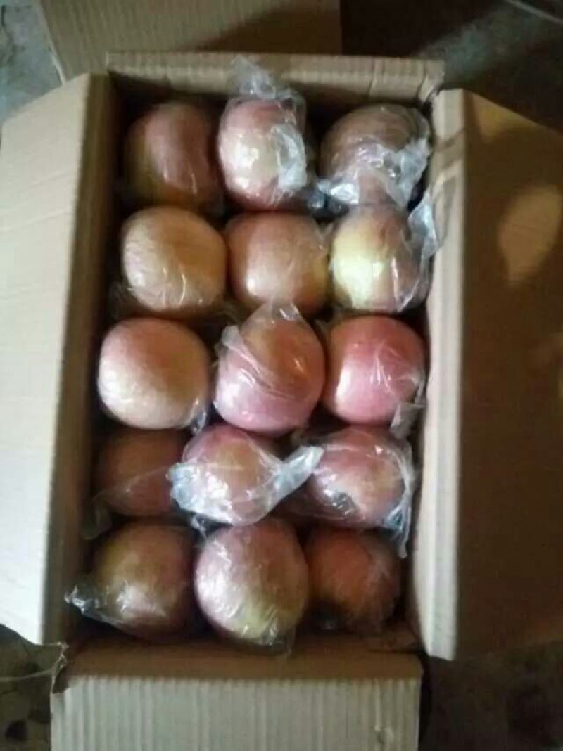 红富士苹果