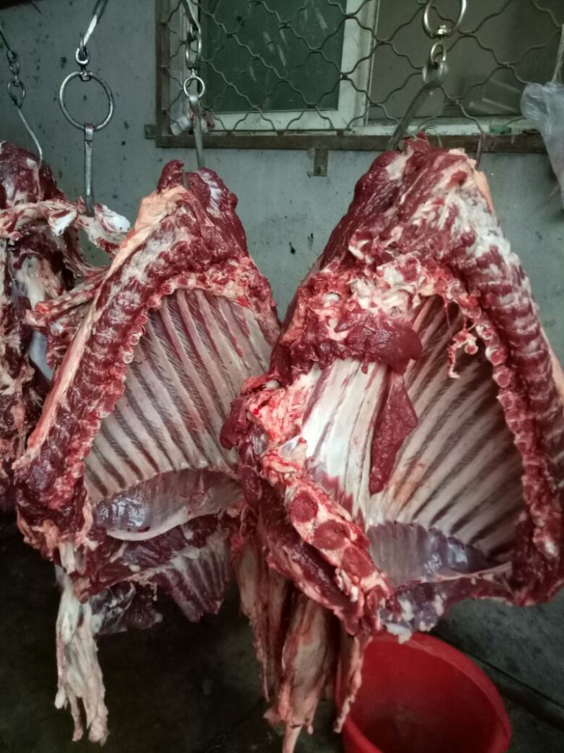 驴肉鲜货