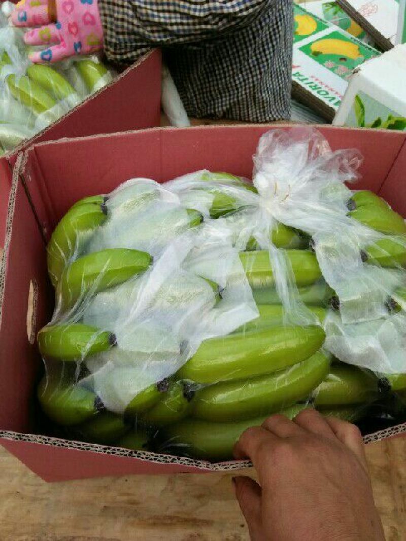 精品河口香蕉云南香蕉七成熟大量供应可视频看货全国发