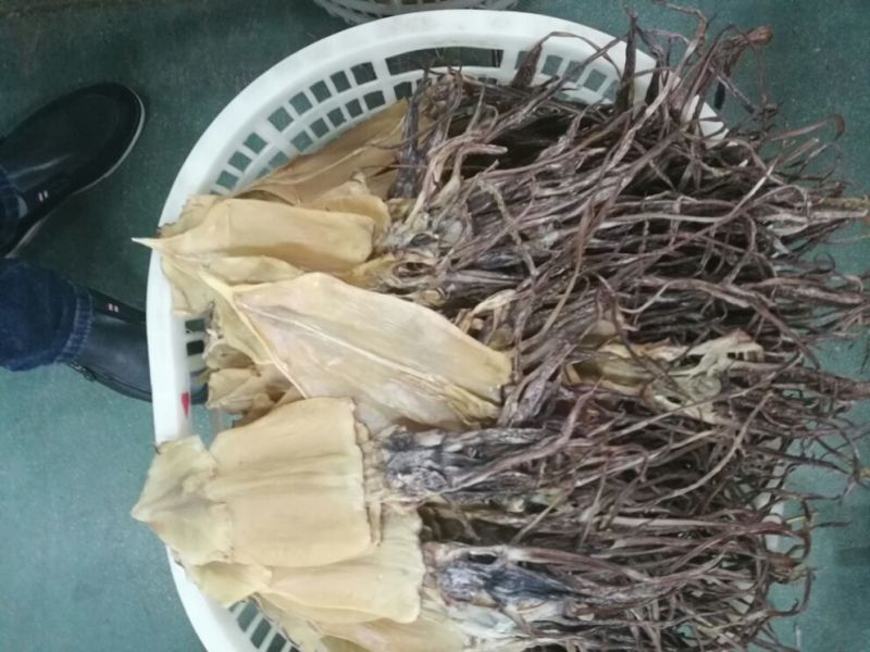 鱿鱼干散装