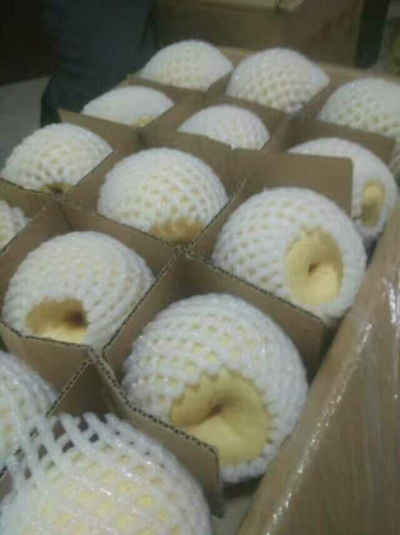 酥梨200~250g纸袋