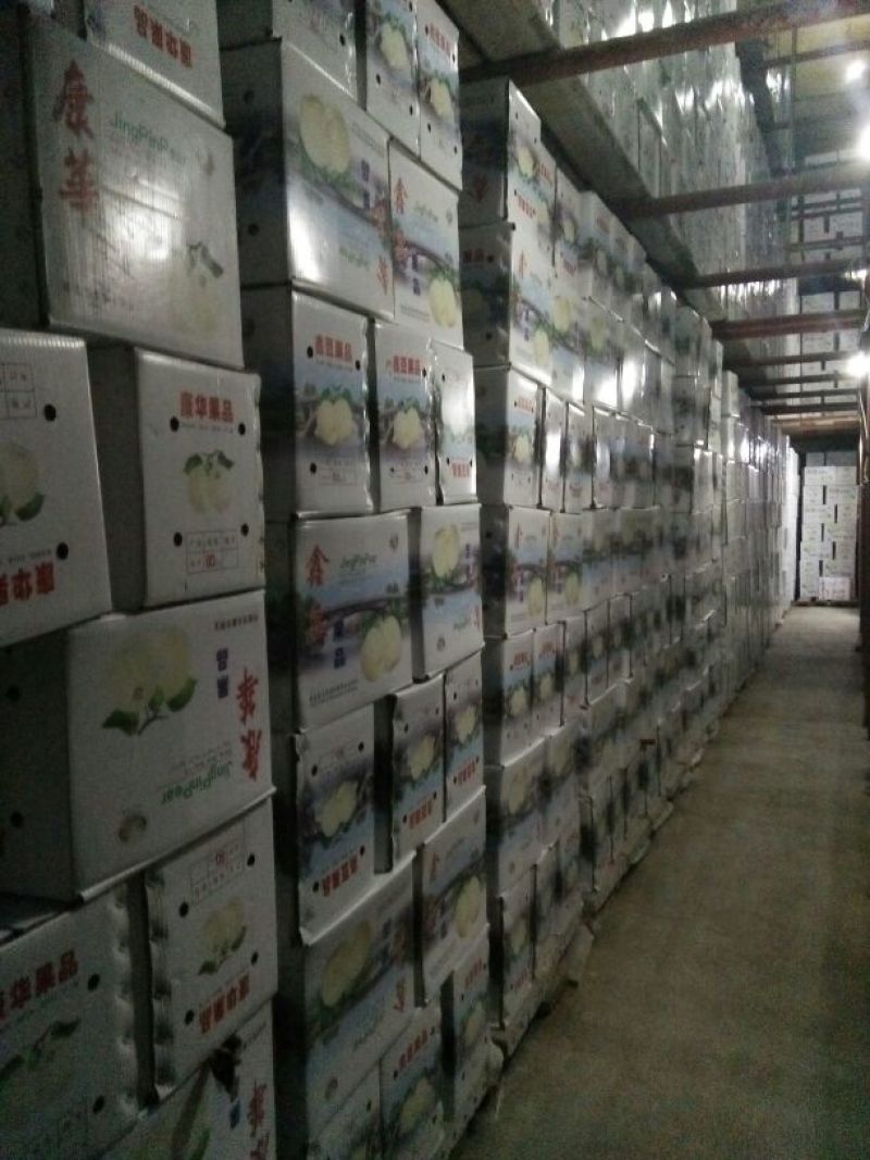 皇冠梨600g以上纸箱