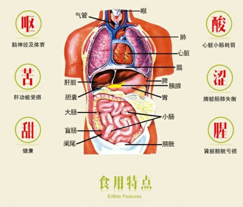 辣木籽