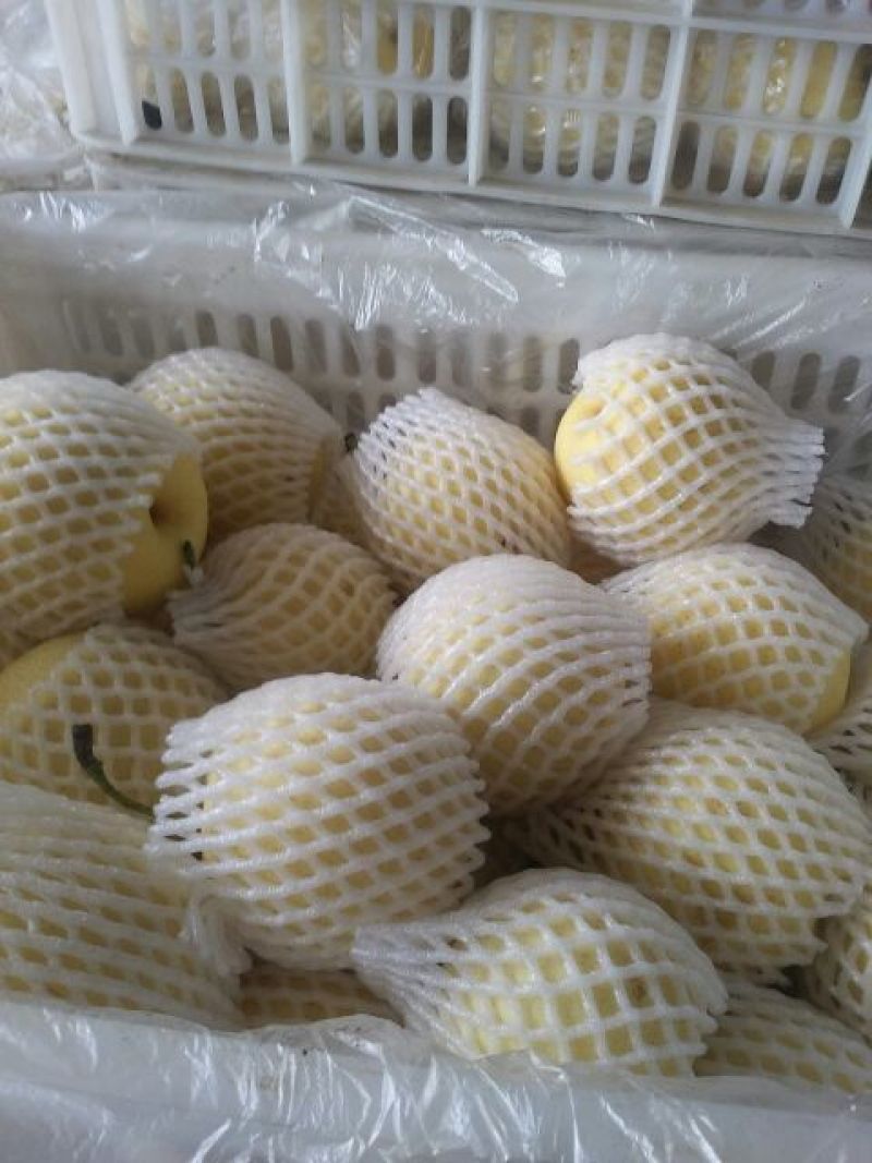 皇冠梨550~600g纸箱