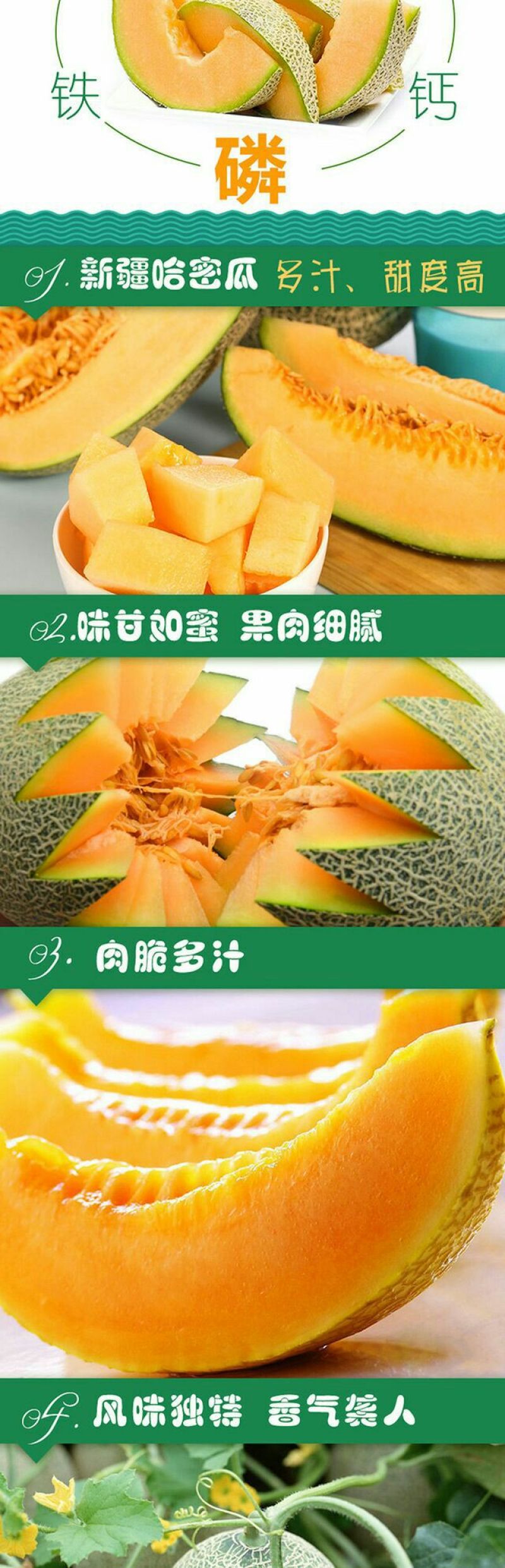 哈密瓜5斤以上椭圆形