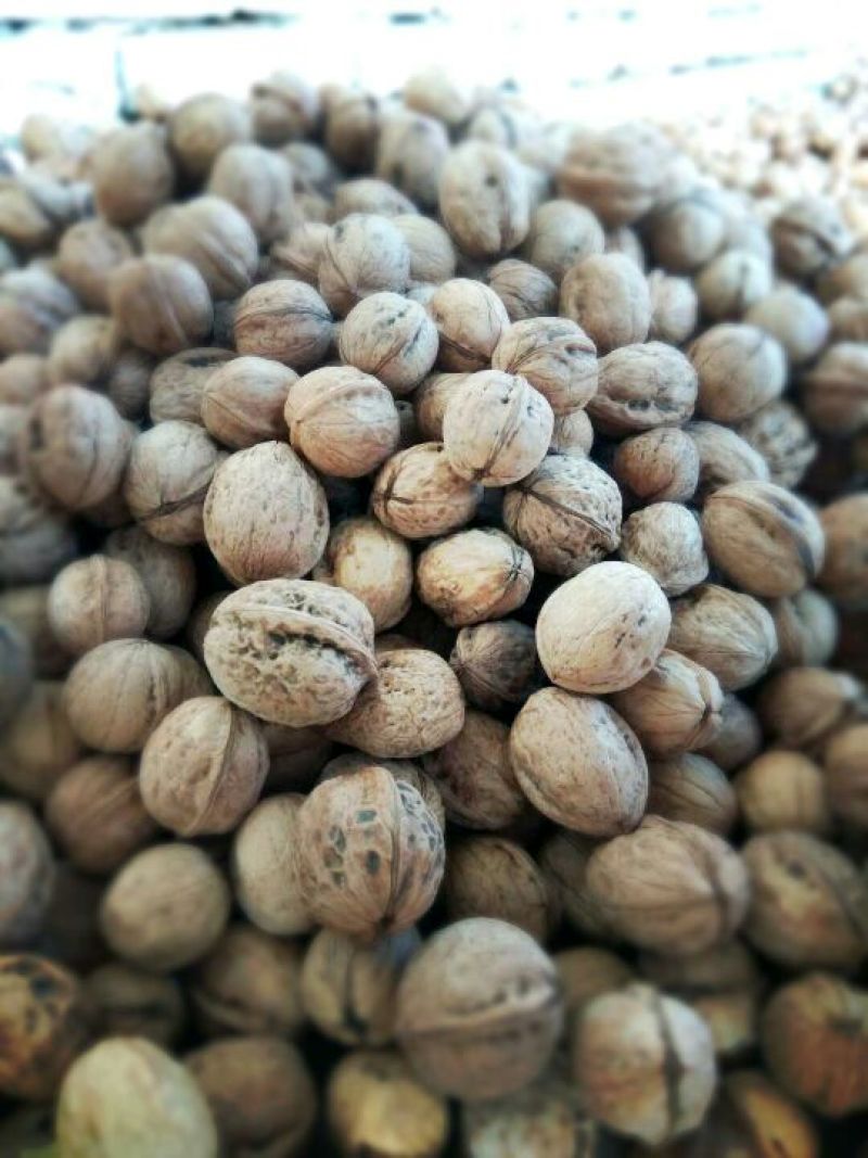薄皮核桃30mm以上去皮