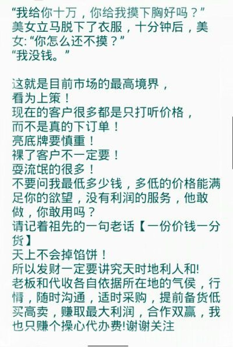 大白菜