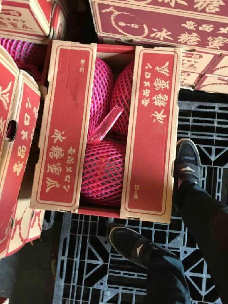 海南17号哈密瓜3斤以上长圆形