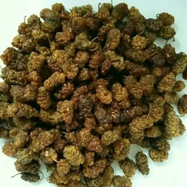 桑葚干