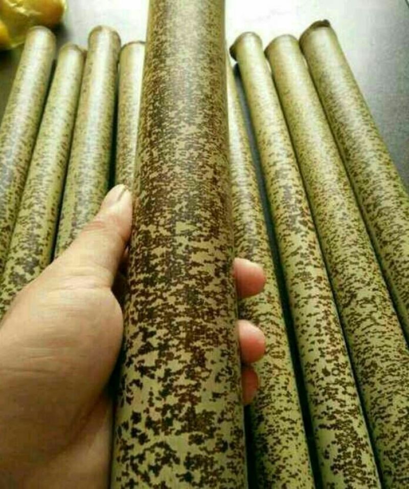 斑竹5~6m