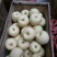 梨光果300~350g