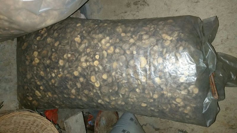 干香菇3cm以下