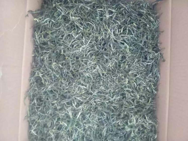 藤茶一级
