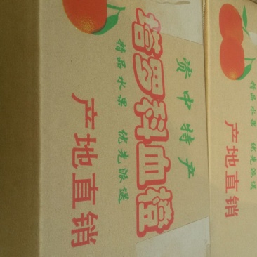 塔罗科血橙60~65mm