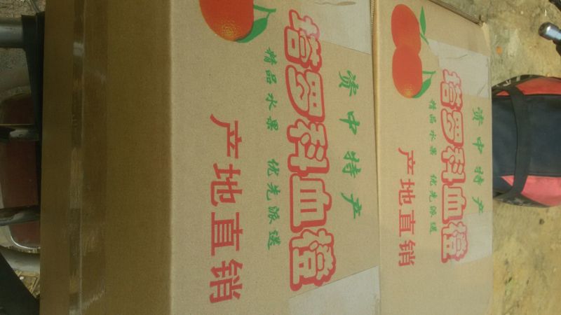 塔罗科血橙60~65mm
