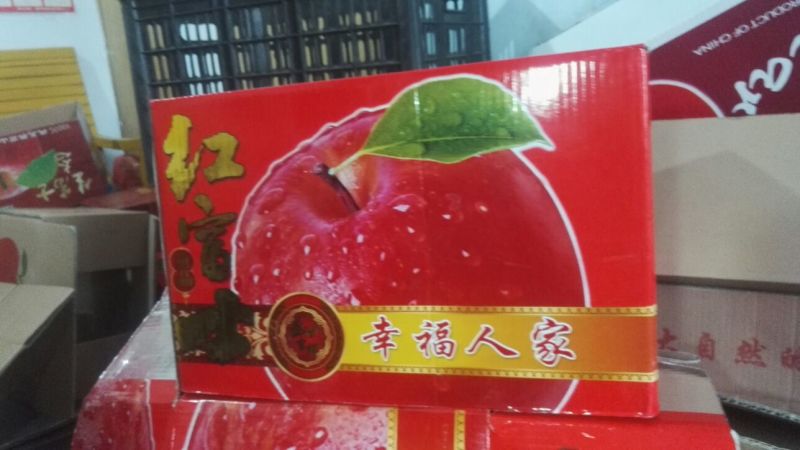 红星苹果75mm以上纸袋