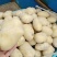 新土豆兴佳2号黄皮黄心专业代办产地直供