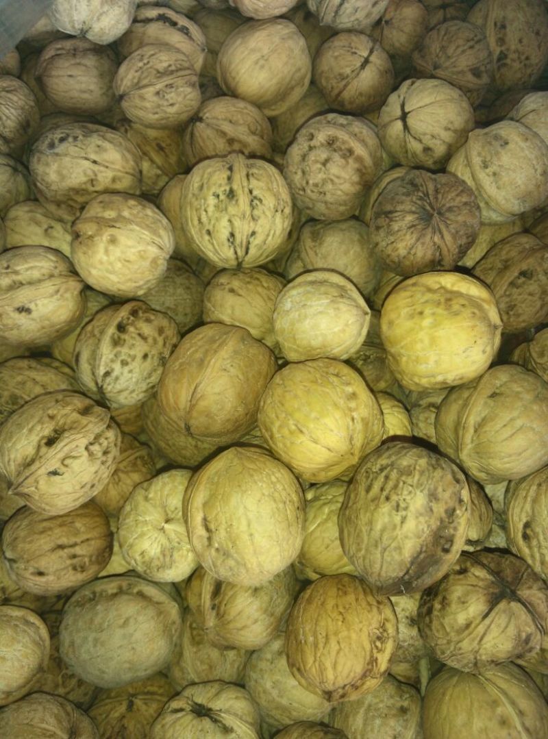 薄皮核桃30mm以上去皮