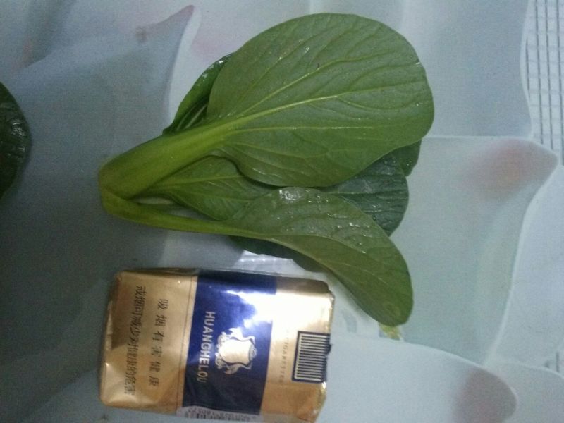 上海青四季种植小油菜1两以上青梗，小棵，中棵。发往全国