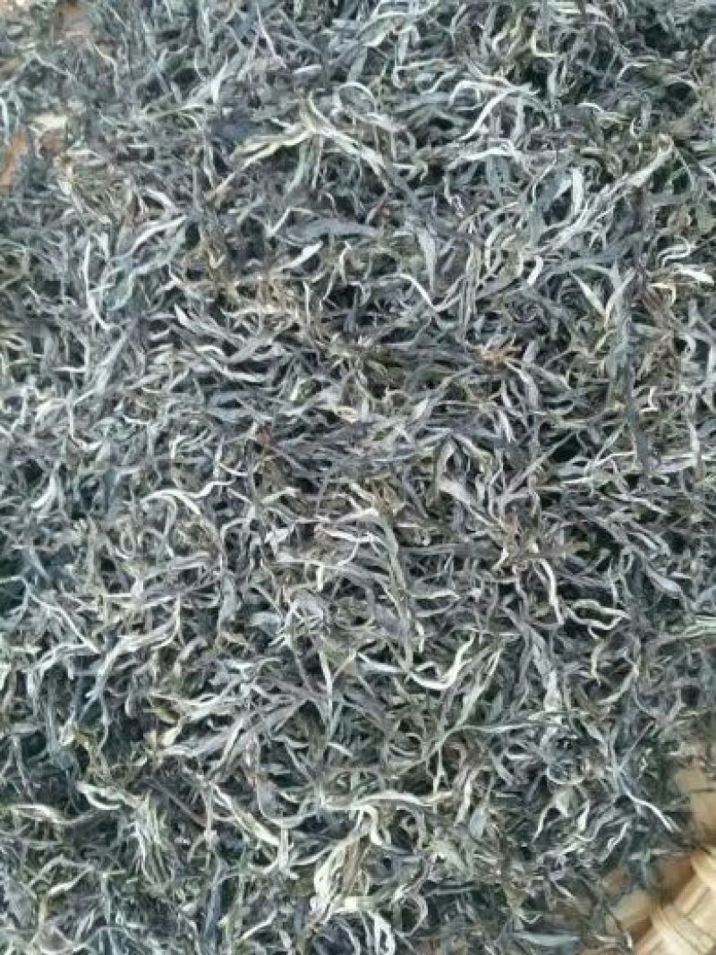 百年大树茶特级