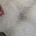 绿豆粉皮散装