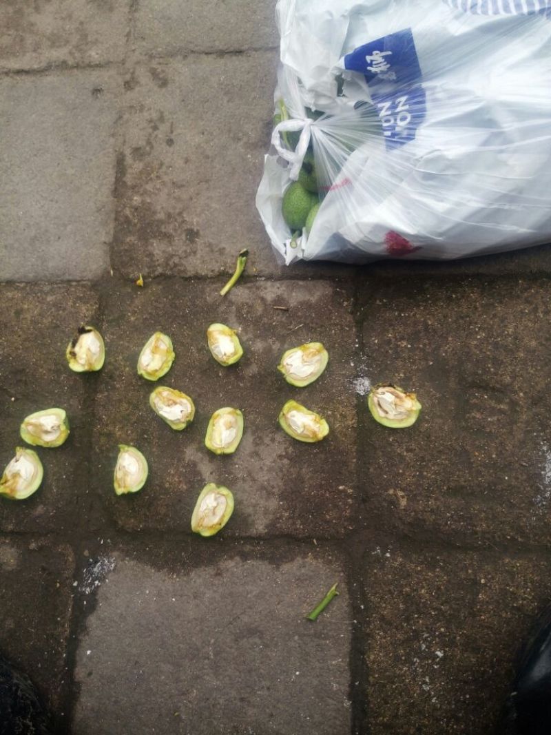 青皮核桃青皮