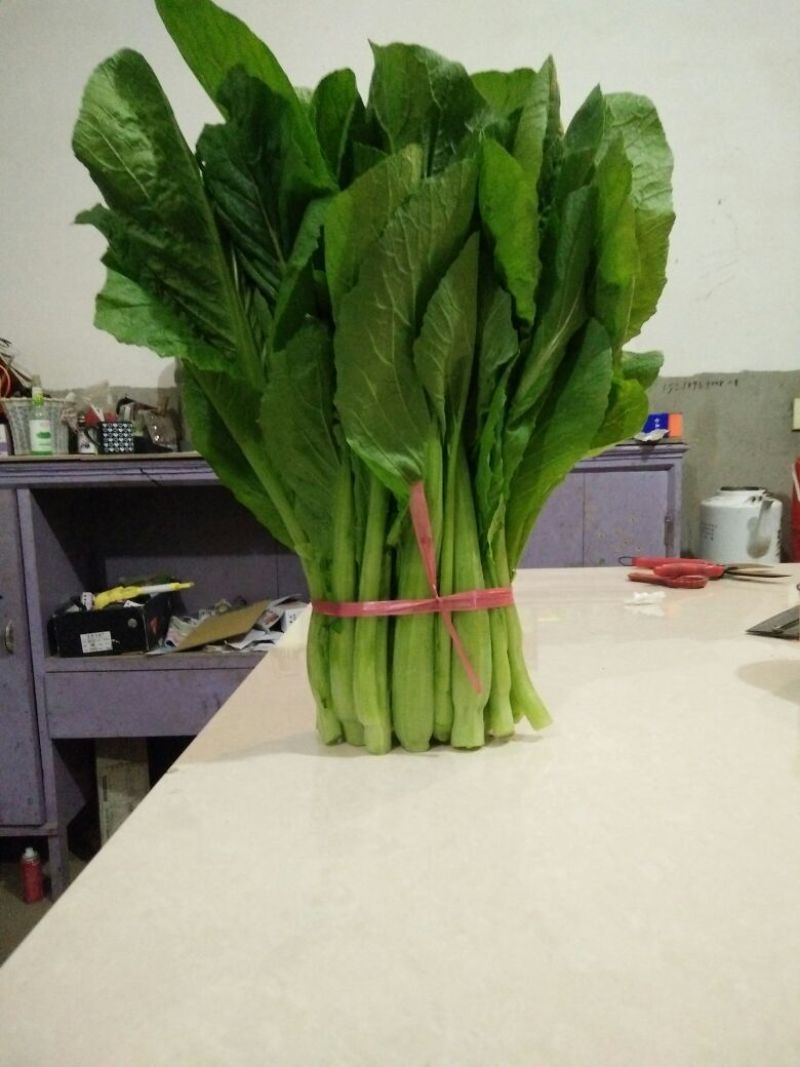 蔬菜